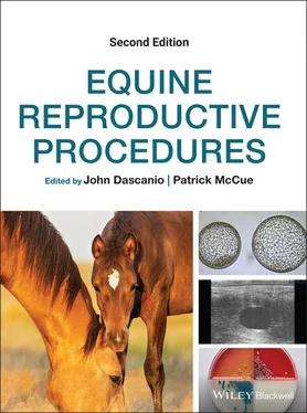 Неизвестный Автор Equine Reproductive Procedures обложка книги