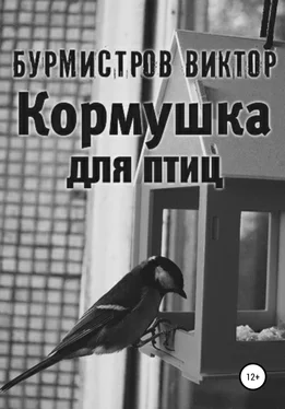 Виктор Бурмистров Кормушка для птиц обложка книги