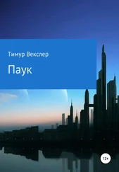 Тимур Векслер - Паук