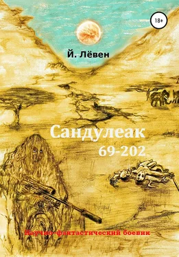 Йоханн Лёвен Сандулеак 69-202 обложка книги