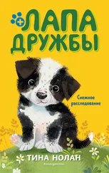 Тина Нолан - Снежное расследование