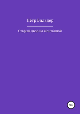 Пётр Бильдер Старый двор на Фонтанной обложка книги