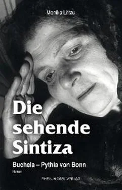 Monika Littau Die sehende Sintiza обложка книги