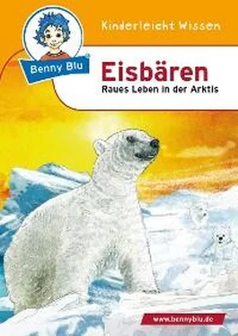Nicola Herbst Benny Blu - Eisbären обложка книги