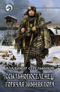 Владимир Стрельников Ссыльнопоселенец. Горячая зимняя пора обложка книги