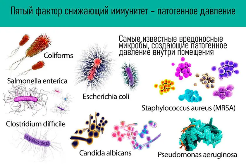 Иллюстрация является художественно работой автора книги Патогенное давление - фото 13