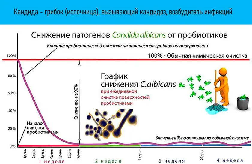 Иллюстрация является художественно работой автора книги На второй неделе - фото 30