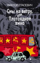 Виктор Стасевич - Сны на ветру, или Плотоядное вино