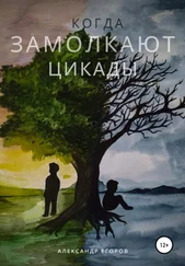 Александр Егоров - Когда замолкают цикады