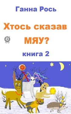 Ганна Рось Хтось сказав Мяу? Книга 2 обложка книги