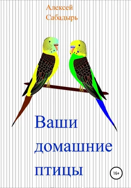 Алексей Сабадырь Ваши домашние птицы обложка книги
