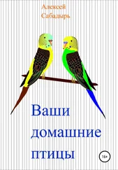 Алексей Сабадырь - Ваши домашние птицы