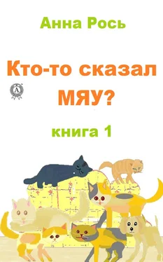 Анна Рось Кто-то сказал Мяу? Книга 1 обложка книги