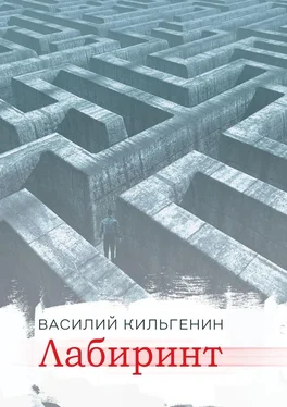 Василий Кильгенин Лабиринт обложка книги