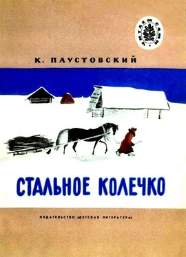 Константин Паустовский Стальное колечко. Теплый хлеб обложка книги