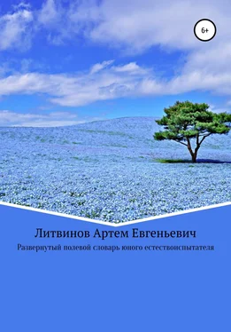 Артем Литвинов Развернутый полевой словарь юного естествоиспытателя обложка книги