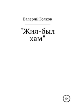 Валерий Голков Жил-был хам обложка книги