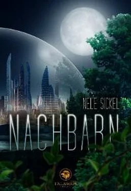 Nele Sickel Nachbarn обложка книги