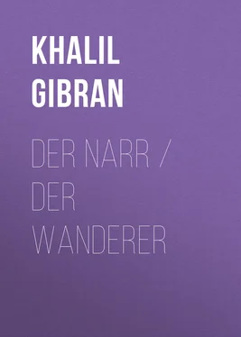 Khalil Gibran Der Narr / Der Wanderer обложка книги