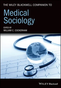 Неизвестный Автор The Wiley Blackwell Companion to Medical Sociology обложка книги