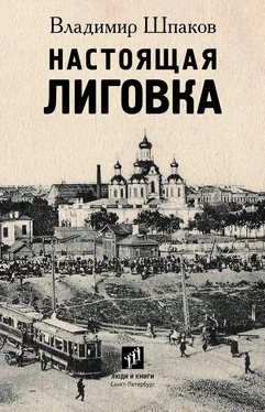 Владимир Шпаков Настоящая Лиговка обложка книги