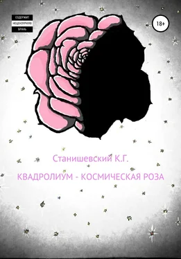 Кирилл Станишевский Квадролиум – Космическая роза обложка книги
