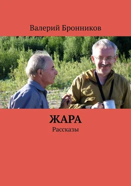 Валерий Бронников Жара. Рассказы обложка книги