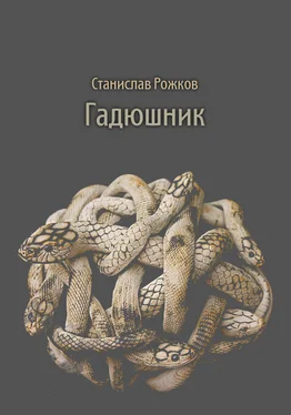 Станислав Рожков Гадюшник обложка книги