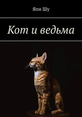 Япи Шу Кот и ведьма обложка книги