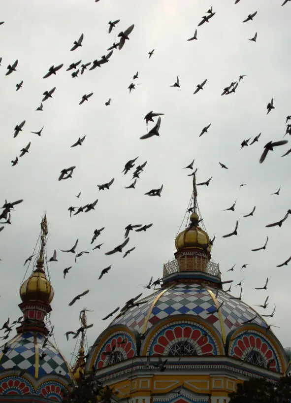 Here to one and the same permanent cooing and flickering wings flapping time - фото 16