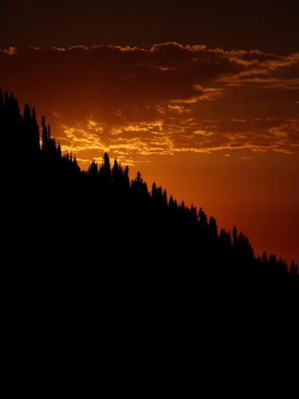 To start ascent you need to wake up early in the morning take the regular bus - фото 6