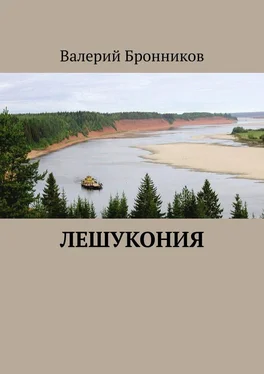 Валерий Бронников Лешукония обложка книги