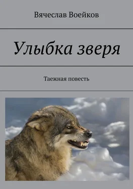 Вячеслав Воейков Улыбка зверя. Таежная повесть обложка книги