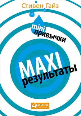 Стивен Гайз MINI-привычки – MAXI-результаты обложка книги