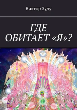 Виктор Зуду Где обитает «Я»? обложка книги