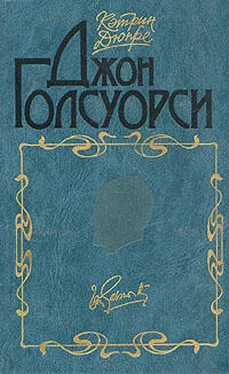 Кэтрин Дюпре Джон Голсуорси обложка книги