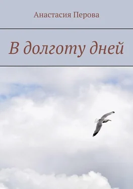 Анастасия Перова В долготу дней обложка книги