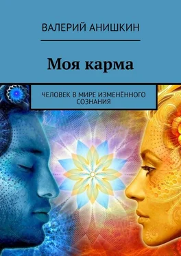 Валерий Анишкин Моя карма. Человек в мире изменённого сознания обложка книги