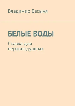 Владимир Басыня БЕЛЫЕ ВОДЫ. Сказка для неравнодушных обложка книги