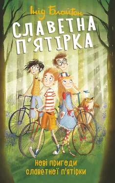 Інід Блайтон Нові пригоди славетної п’ятірки обложка книги