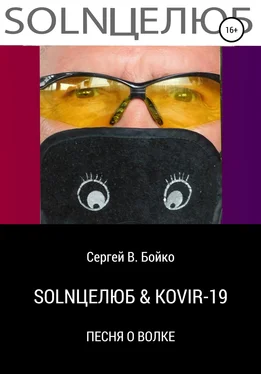 Сергей Бойко SOLNЦЕЛЮБ & KOVIR-19. Песня о Волке обложка книги