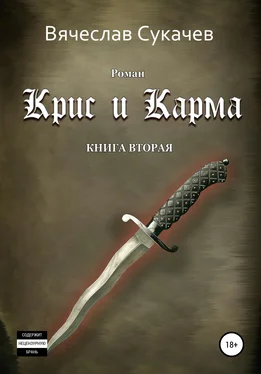 Вячеслав Сукачев Крис и Карма. Книга вторая обложка книги