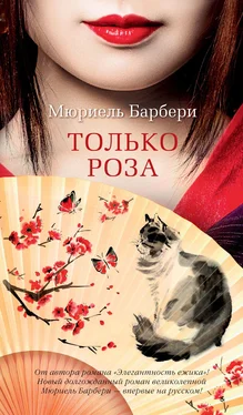 Мюриель Барбери Только роза обложка книги