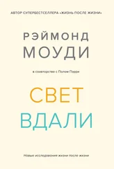 Пол Пэрри - Свет вдали. Новые исследования жизни после жизни