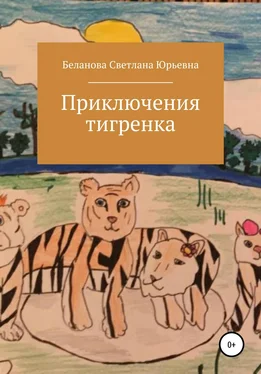 Светлана Беланова Приключения тигренка обложка книги