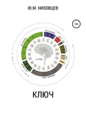 Юрий Низовцев - Ключ