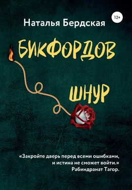 Наталья Бердская Бикфордов шнур обложка книги