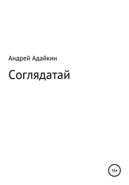 Андрей Адайкин Соглядатай обложка книги