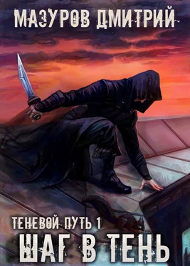 Дмитрий Мазуров Шаг в тень обложка книги