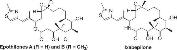 Figure 19 Epothilone derivatives The formation of the 16membered highly - фото 12